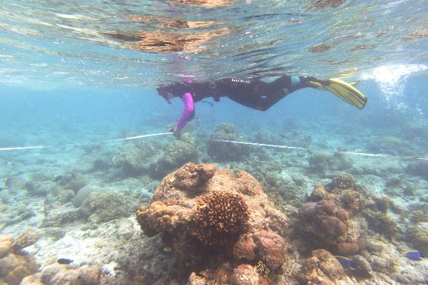 Students transect project, Maledives 2024