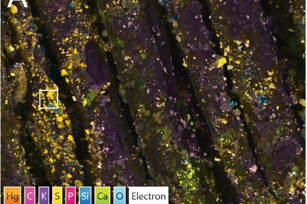 EDS element map of prehistoric cinnabar (HgS) dyed textiles (Gleba et al., 2021)