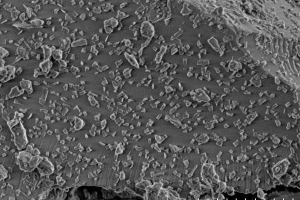 Nanometric salt precipitations from experiments on the reaction of volcanic gas and ash (Casas et al., 2021)