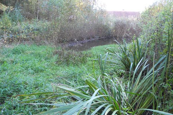 Individuelle Bildbeschreibung optional