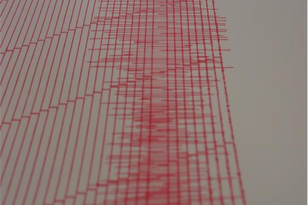 Seismogram of the 2009 L´Aquila Earthquake