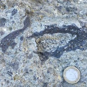 Suevite, impact breccia from the Ries impact structure, Germany
