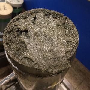 Sedimentkern; die Grünfärbung ist charakteristisch für Sedimente vor Namibias Küste und geht auf hohe Konzentration von eisenhaltigen Mineralien zurück.