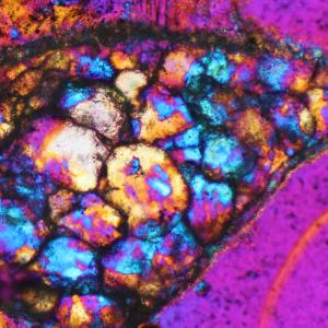 Polarized light micrograph (crossed polars, inserted compensator plate) of Ballen-SiO2 (quartz and cristoblite) from impact melt rock from Polsingen, Ries impact crater, Germany, image width ≈ 3 mm