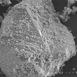 A volcanic ash particle from Hrafntinnuhryggur, Iceland, coated with sulfate salts after exposure to SO2 and viewed under the scanning electron microscope
