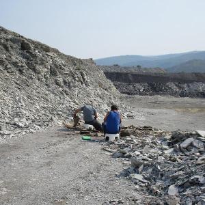 Bergung der Fossilien an der neuen Fundstelle in Bosnien-Herzegowina.