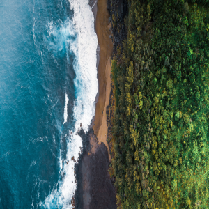 Chilenische Küste mit Meer und Wald. | © Canva Chilenische Küste mit Meer und Wald.