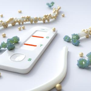 DNA origami used for rapid test strips.