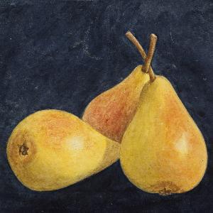 Motiv der Ausstellung Im Philologicum zu Gast: Archiv und Sammlungen der TUM