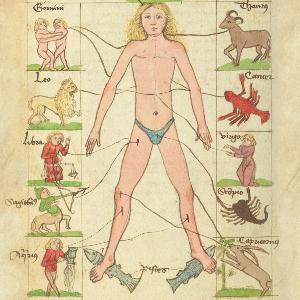 Final 4° Cod.ms. 745, fol. 65v / Motiv des Plakats zur Ausstellung Von Körpern und Sternen. Medizin und Astronomie in den spätmittelalterlichen Beständen der UB