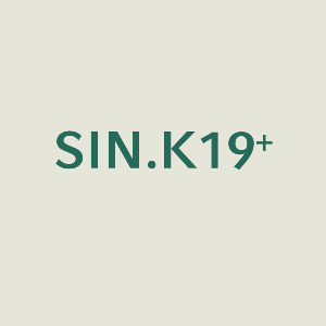 Logo SIN.K19+ | © DigiLLab