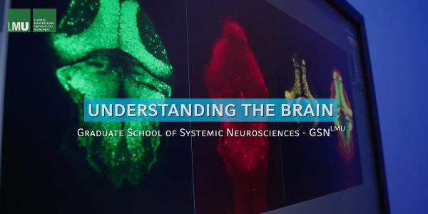 Thumbnail for GSN videos