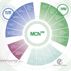 Network of the Munich Center for Neurosciences (MCN-LMU) as graphic representation