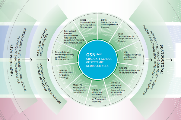 Graphic representation of the GSN with its partner institutions and collaborative initiatives
