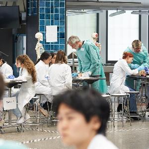 Neuroanatomy course with participants and tutors