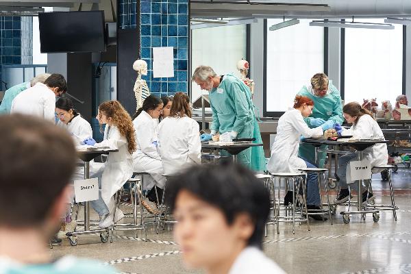 Neuroanatomy course with participants and tutors