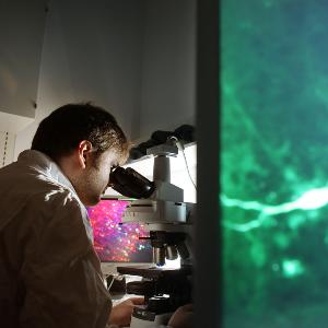 Student working with microscope