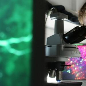 Student at microscope with colourful image in background