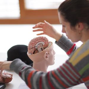 Student with brain model
