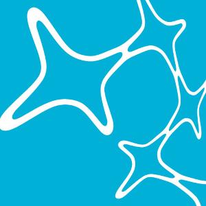 GSN logo