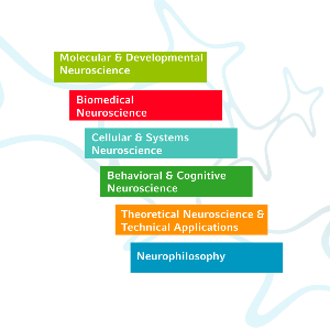 Visual representation of the six GSN research areas with logo element in background