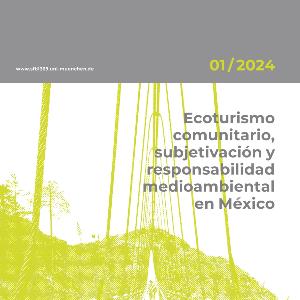 Cover of the Working Paper