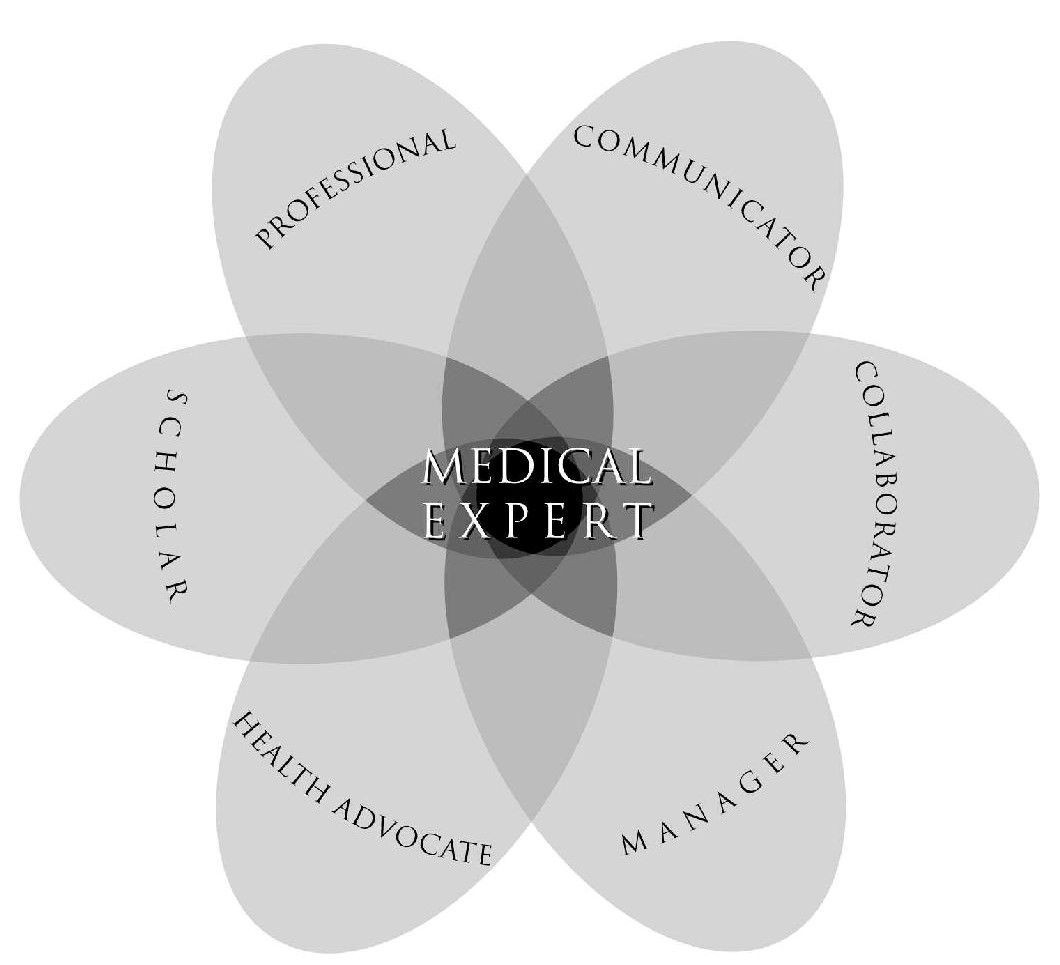 Quelle: Frank, JR. (Hrsg.). 2005. The CanMEDS 2005 Physician Competency Framework. Ottawa: The Royal College of Physicians and Surgeons of Canada.
