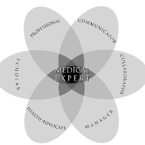 Quelle: Frank, JR. (Hrsg.). 2005. The CanMEDS 2005 Physician Competency Framework. Ottawa: The Royal College of Physicians and Surgeons of Canada.