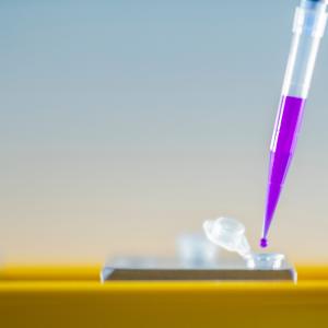 Flüssigkeit wird mit einer Pipette auf einen Träger aufgetragen. | © LMU Flüssigkeit wird mit einer Pipette auf einen Träger aufgetragen.