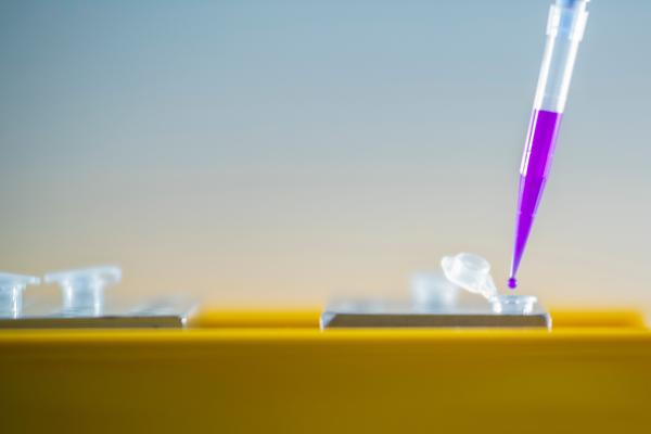 Flüssigkeit wird mit einer Pipette auf einen Träger aufgetragen.