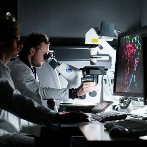 Two researchers examine something through a microscope | © Jan Greune / LMU Two researchers examine something through a microscope