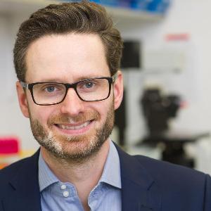Portrait von Professor Dr. Alexander Bartelt
