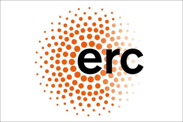 Logo des erc (Europäischer Forschungsrat)
