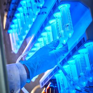 Arbeit am Peptid-Synthesizer