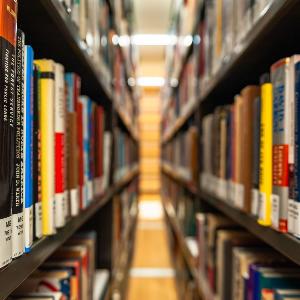 Blick durch zwei Regale, in denen Bücher stehen.