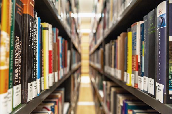 Blick durch zwei Regale, in denen Bücher stehen.
