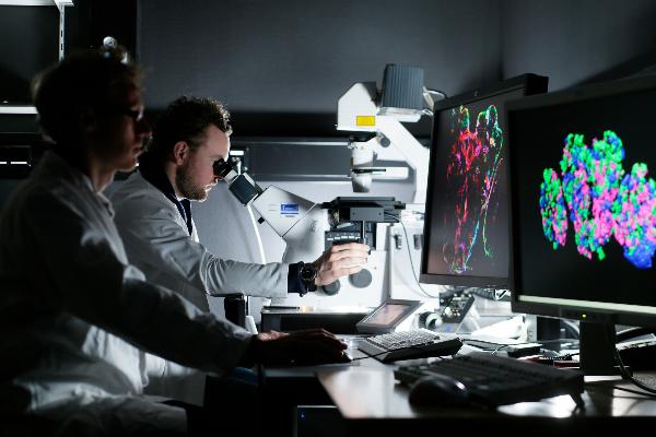 Two researchers examine something through a microscope
