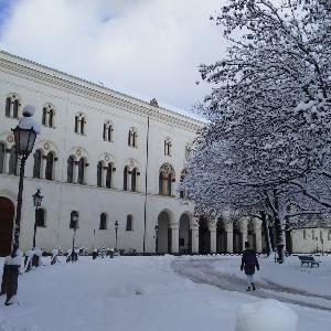 Schneebedecktes Gebäude und Baum auf dem Geschwister-Scholl-Platz