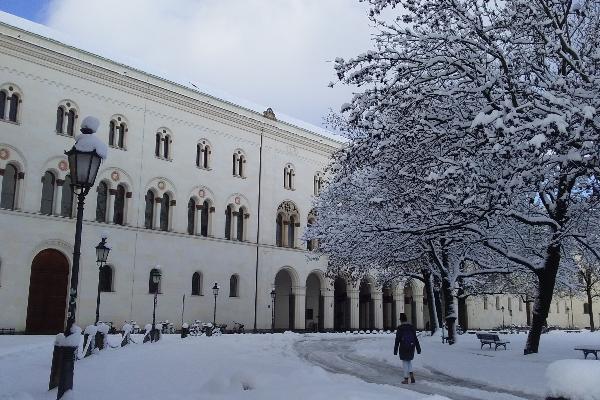 Schneebedecktes Gebäude und Baum auf dem Geschwister-Scholl-Platz