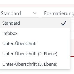 Auswahl Unterüberschriften im Texteditor