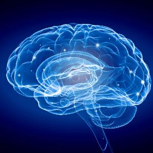Grafik eines in blau leuchtenden Gehirns