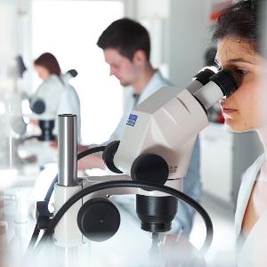Wissenschaftlerinnen und Wissenschaftler im Labor für Molekularbiologie