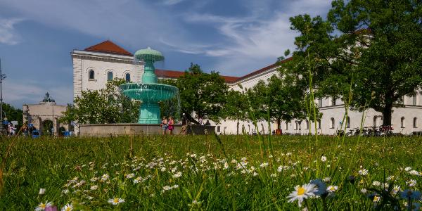 LMU Hauptgebäude am Geschwister-Scholl-Platz | © LMU LMU Hauptgebäude am Geschwister-Scholl-Platz