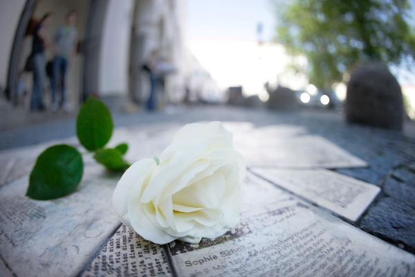 Eine weiße Rose liegt auf den Gedenktafeln der Flugblätter vor dem LMU Hauptgebäude.