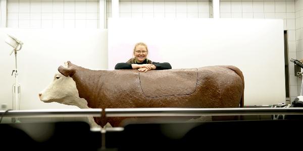 Dr. Marie Meyerholz-Wohllebe behind the model of a cow.