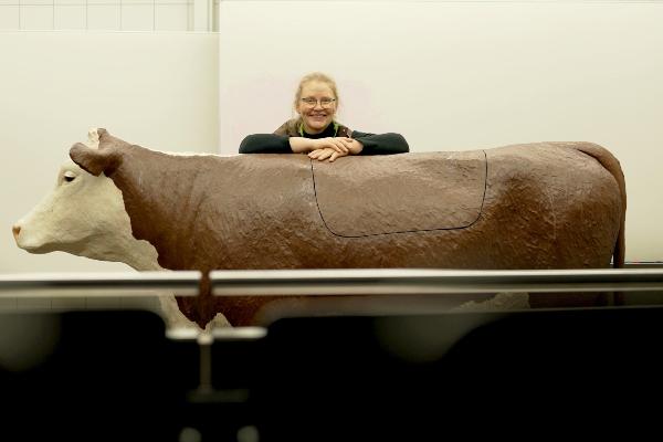 Dr. Marie Meyerholz-Wohllebe behind the model of a cow.