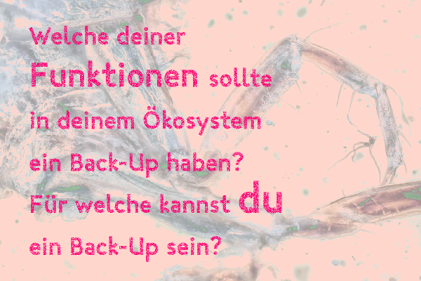 Welche Deiner Funktionen sollte in Deinem Ökosystem ein Back-up haben? Für welche kannst Du ein Back-up sein?