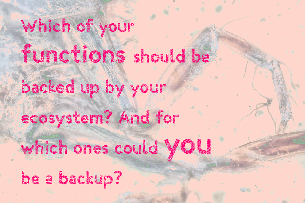 Which of your functions should be backed up by your ecosystem? And for which ones could you be a backup?