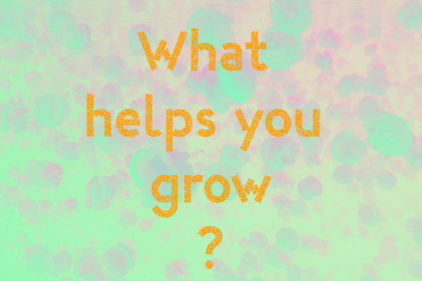 What helps you grow?