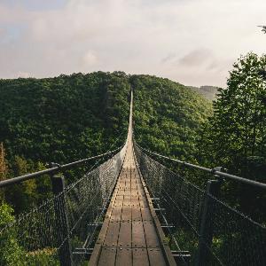 Brücke über Dschungel